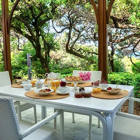 Aparthotel Appartamenti&villa Il Delfinetto